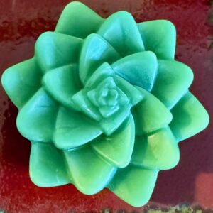 Galatea Boutique - Handmade Succulent Soap
